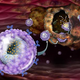 Illustration for article titled Nanoparticle Drugs' First Target: Improving Your Sex Life
